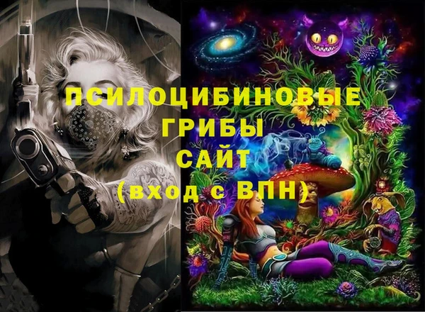 эйфоретик Алзамай