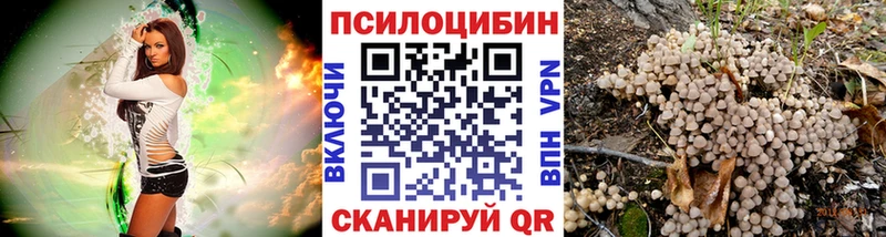 Псилоцибиновые грибы MAGIC MUSHROOMS  MEGA сайт  Мамоново  цены  